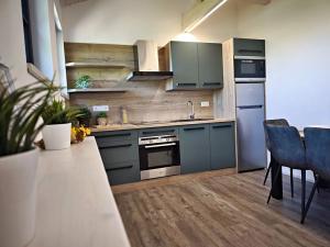 Pronájem bytu 1+1, Liberec, 44 m2