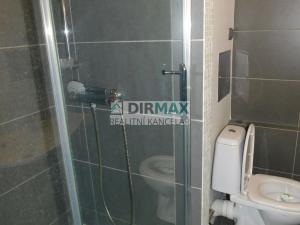 Pronájem bytu 1+kk, Plzeň - Severní Předměstí, Hodonínská, 33 m2