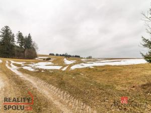 Prodej pozemku pro bydlení, Pěčín, 9989 m2