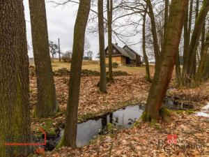 Prodej pozemku pro bydlení, Pěčín, 9989 m2