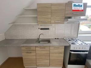 Pronájem bytu 1+1, Liberec, Havlíčkova, 45 m2