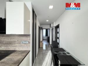 Pronájem bytu 2+1, České Budějovice - České Budějovice 7, Mánesova, 47 m2