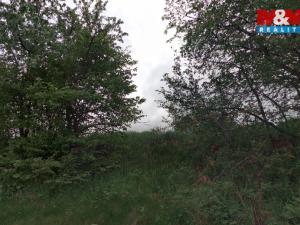 Prodej pozemku, Červená Lhota, 4173 m2