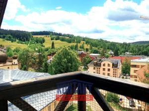 Pronájem bytu 1+kk, Železná Ruda, Belvederská, 50 m2