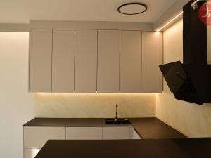 Pronájem bytu 1+kk, Ostrava, F. X. Riepla, 44 m2