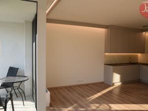 Pronájem bytu 1+kk, Ostrava, F. X. Riepla, 44 m2