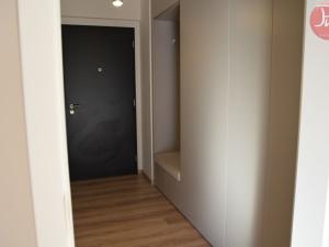 Pronájem bytu 1+kk, Ostrava, F. X. Riepla, 44 m2