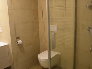 Pronájem bytu 1+kk, Ostrava, F. X. Riepla, 44 m2