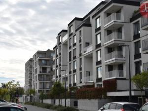 Pronájem bytu 1+kk, Ostrava, F. X. Riepla, 44 m2