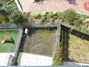 Pronájem bytu 1+kk, Ostrava, F. X. Riepla, 44 m2