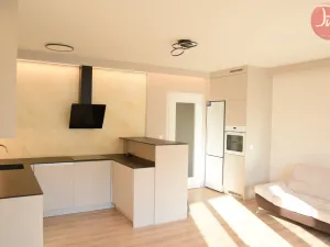 Pronájem bytu 1+kk, Ostrava, F. X. Riepla, 44 m2