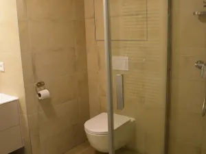 Pronájem bytu 1+kk, Ostrava, F. X. Riepla, 44 m2