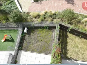 Pronájem bytu 1+kk, Ostrava, F. X. Riepla, 44 m2