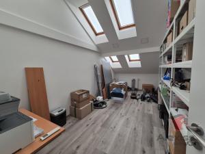 Pronájem atypického bytu, Praha - Nusle, Sinkulova, 141 m2