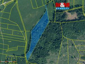 Prodej lesa, Kolinec - Buršice, 10718 m2