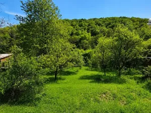 Prodej zahrady, Brno - Bystrc, Foltýnova, 415 m2