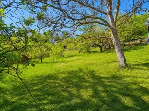 Prodej zahrady, Brno - Bystrc, Foltýnova, 415 m2