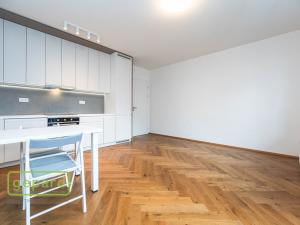 Pronájem bytu 2+kk, Praha, Huppnerova, 53 m2