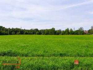 Prodej pozemku pro bydlení, Nové Sedlo - Loučky, Nové Loučky, 47741 m2