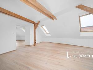 Prodej bytu 5+kk, Praha - Dejvice, Buzulucká, 239 m2