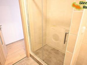 Pronájem bytu 1+1, Paskov, Papírenská, 44 m2