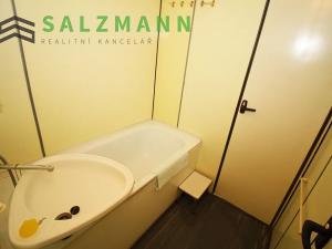 Pronájem bytu 3+1, Plzeň, Sousedská, 84 m2