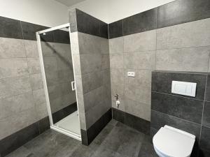 Pronájem bytu 2+1, Olomouc - Hodolany, Holická, 63 m2