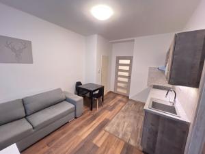 Prodej bytu 2+kk, Náchod, Žižkova, 40 m2