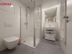 Pronájem bytu 2+kk, Praha - Vinohrady, Perucká, 45 m2