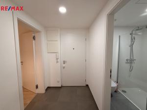 Pronájem bytu 2+kk, Praha - Vinohrady, Perucká, 45 m2