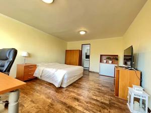 Pronájem pokoje, Zlín, 20 m2