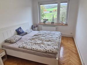 Pronájem bytu 3+1, Pozlovice, Hlavní, 75 m2