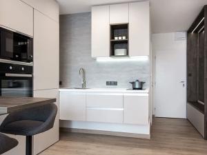 Pronájem bytu 1+kk, Ostrava, U Parku, 30 m2