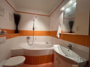 Prodej bytu 2+kk, České Budějovice, U Cihelny, 55 m2