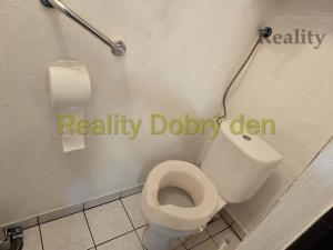 Prodej rodinného domu, Budišov nad Budišovkou - Podlesí, 170 m2