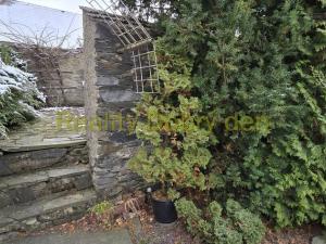 Prodej rodinného domu, Budišov nad Budišovkou - Podlesí, 170 m2