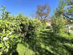 Prodej vícegeneračního domu, Písek, Harantova, 454 m2