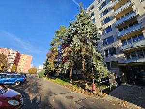 Pronájem bytu 1+1, Mladá Boleslav - Mladá Boleslav II, 17. listopadu, 37 m2