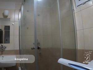 Pronájem bytu 1+1, České Budějovice, Pražská tř., 38 m2