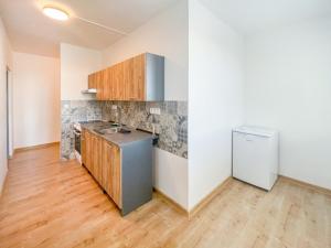 Pronájem bytu 1+1, České Budějovice - České Budějovice 2, Fr. Ondříčka, 43 m2