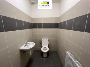 Pronájem výrobních prostor, Kladno - Dubí, Dubská, 1542 m2