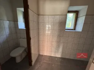 Prodej zemědělské usedlosti, Humpolec - Krasoňov, 1250 m2