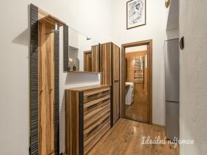 Prodej bytu 2+kk, Praha - Žižkov, Přemyslovská, 49 m2