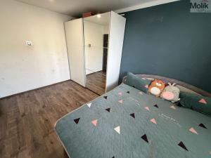 Prodej bytu 3+1, Most, Františka Malíka, 69 m2