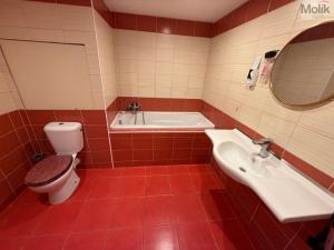 Prodej bytu 3+1, Most, Františka Malíka, 69 m2