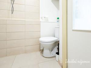 Pronájem bytu 1+kk, Praha - Libeň, Na Rokytce, 25 m2