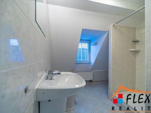 Pronájem bytu 1+1, Opava - Předměstí, Těšínská, 41 m2