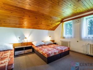 Prodej ubytování, Rokytnice nad Jizerou - Horní Rokytnice, 360 m2