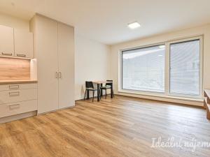 Pronájem bytu 1+kk, Brno, Bystrcká, 36 m2