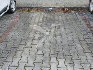 Pronájem bytu 2+kk, Plzeň, V Bezinkách, 51 m2